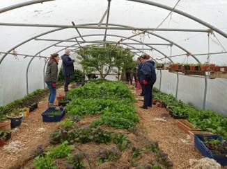 Polytunnel