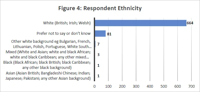 Figure 4 Respondent Ethnicity