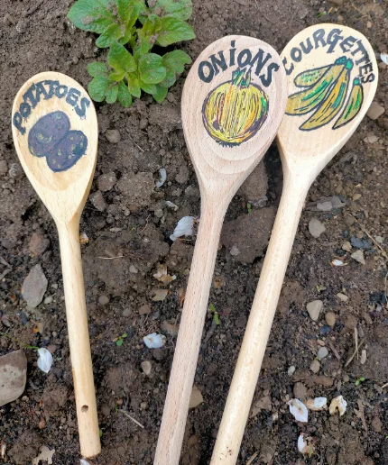 Aquamira Wooden Spoons