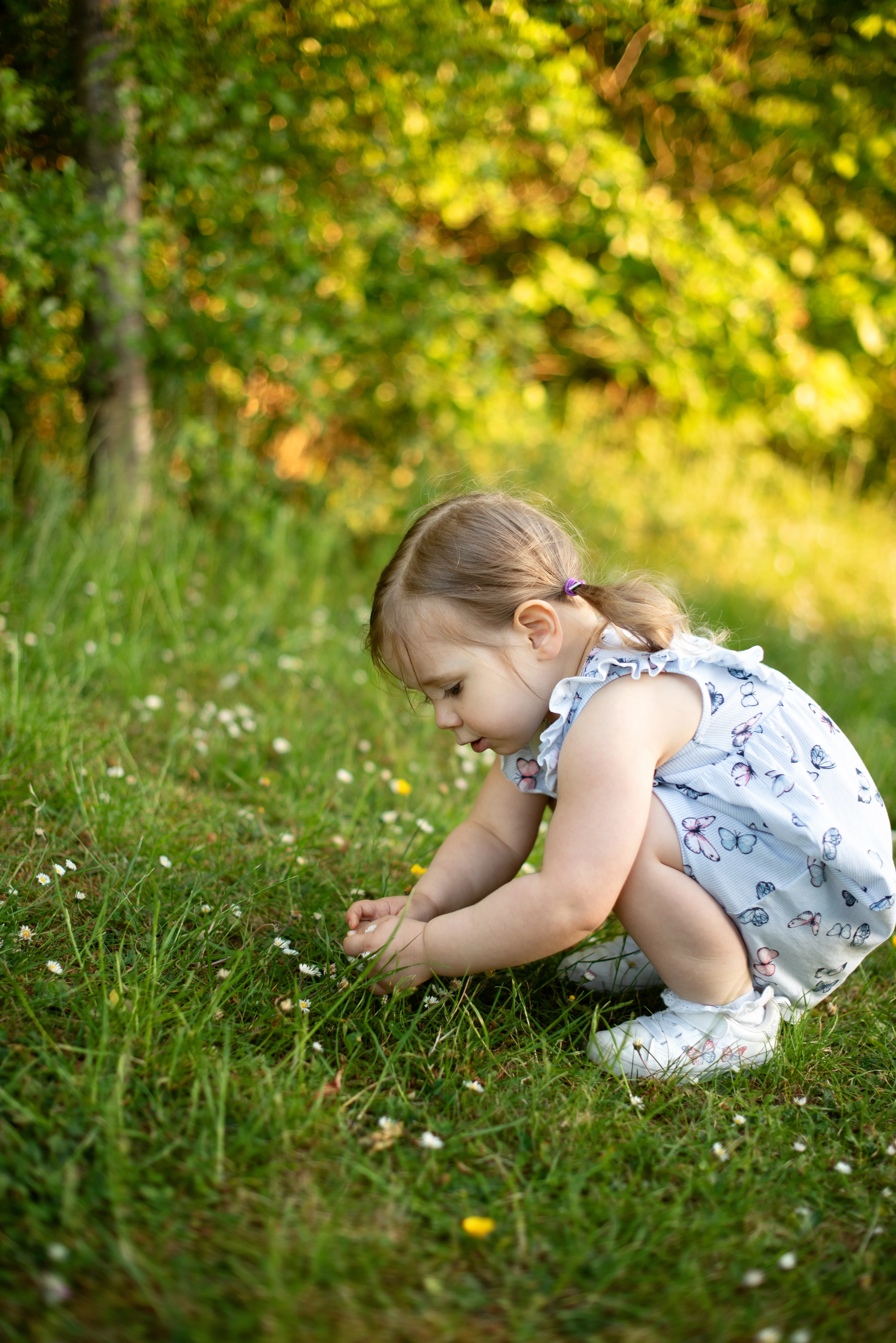 Girl picking daisies