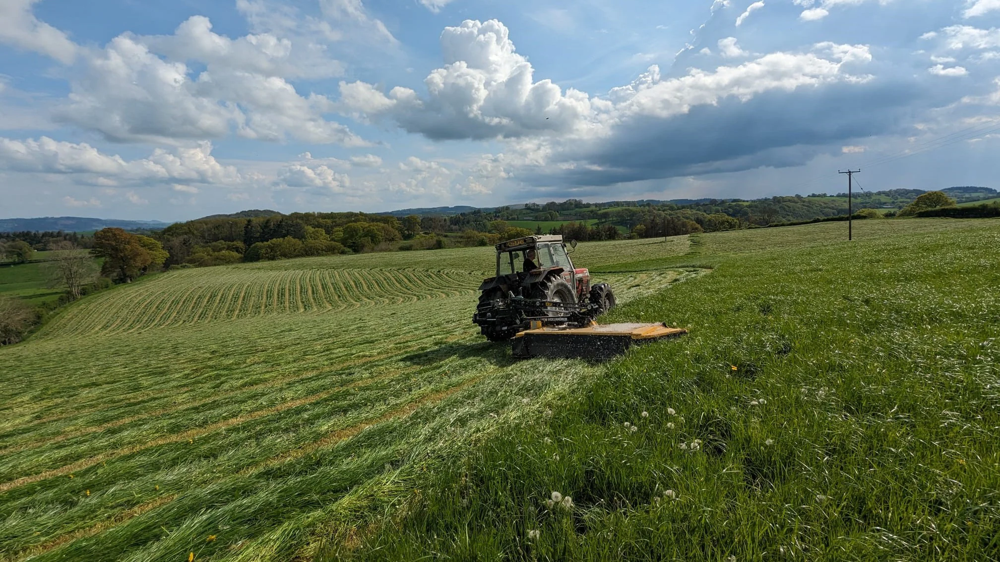 A tractor doing the first silage cut on a field