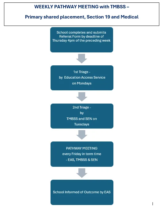 Image showing a flowchart of the Pathway Meeting process.