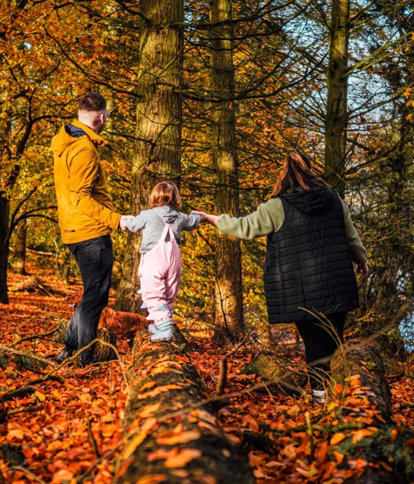 Family Walking In Autumnal Woods