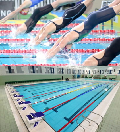 Example photos of competition swimmers and an 8 lane swimming pool