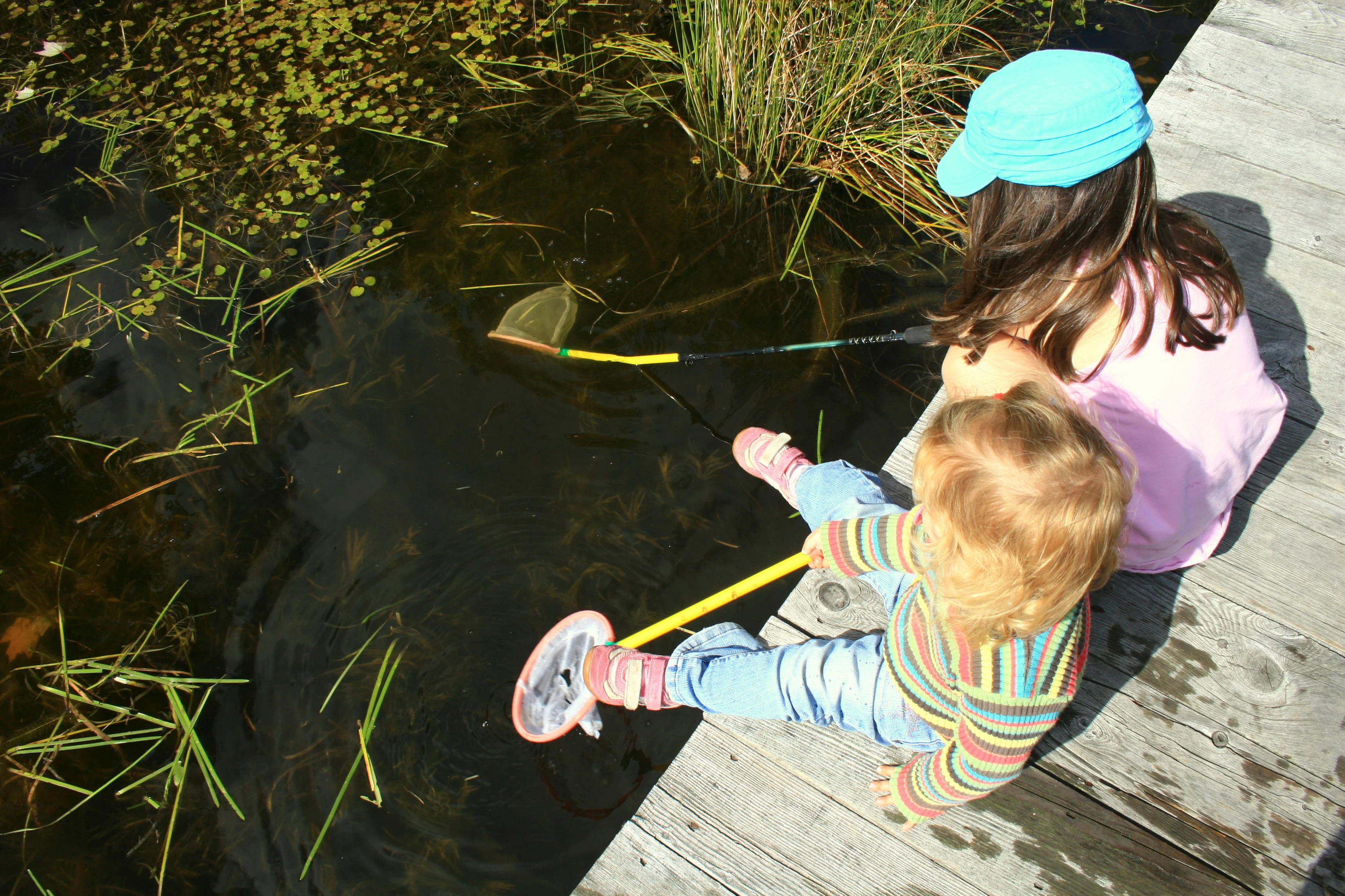 Children pond dipping
