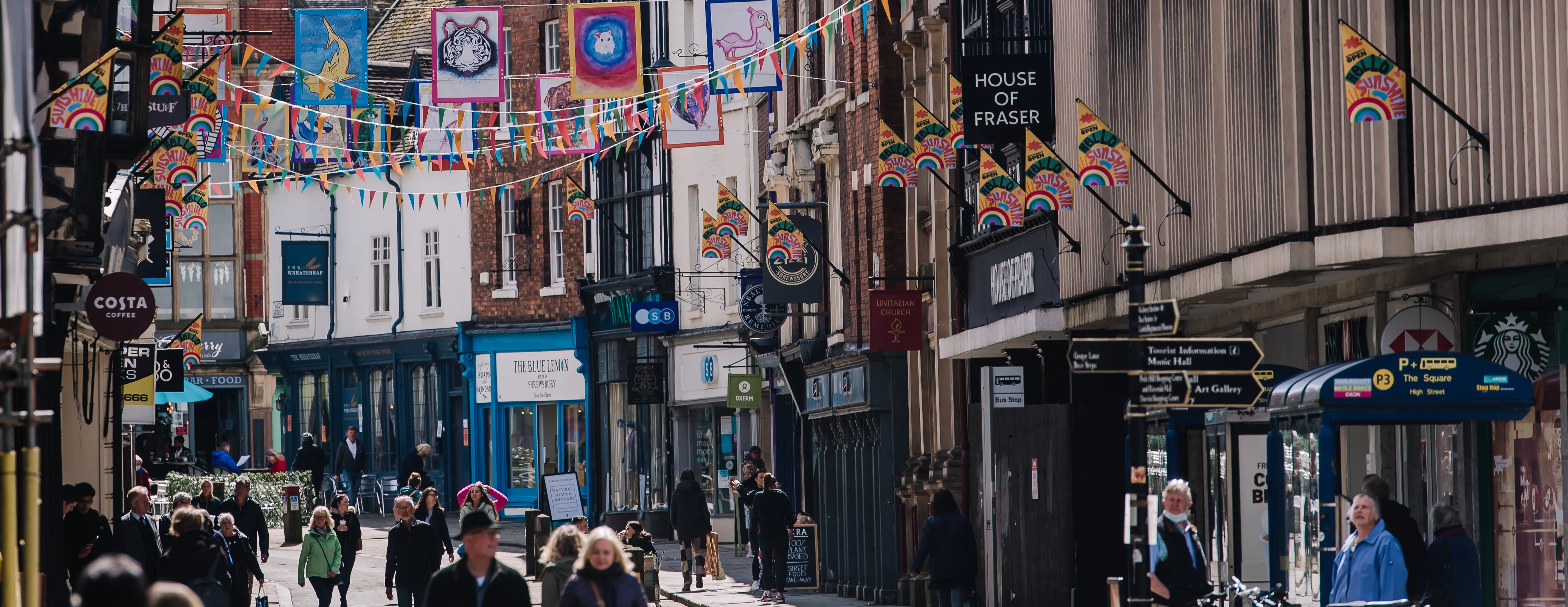 Shrewsbury Town Centre Image