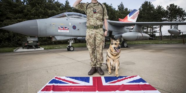 Shropshire leisure centres offer free entry to service personnel and veterans on Armed Forces Day