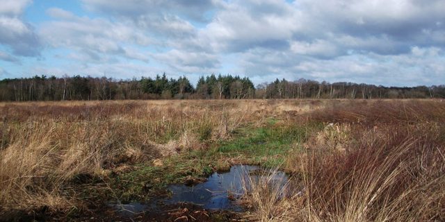 Landowners invited to get on board with land re-wetting as part of water management scheme