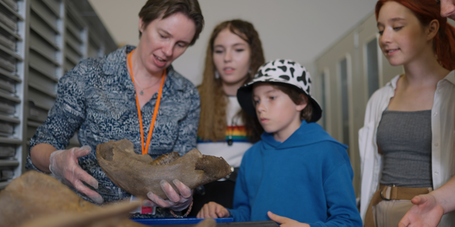 Discover hidden treasures with group visits to Shropshire Museums’ Collections Centre in Ludlow
