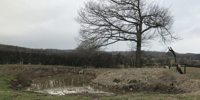 Homes and land protected from flood risk by nature-based water management project