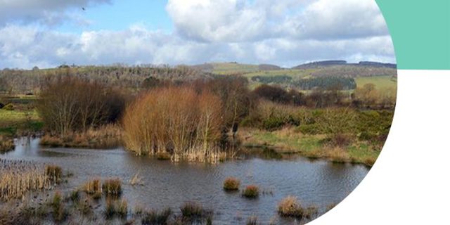 New report highlights water management skills gap across Marches