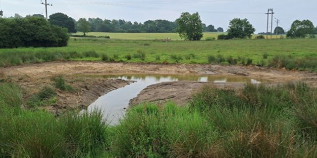 Nature-based solution works for water management demonstrator project