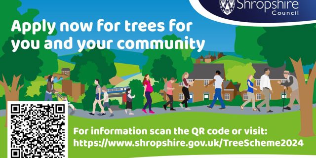 Community tree scheme returns – council offering 15,000 free trees