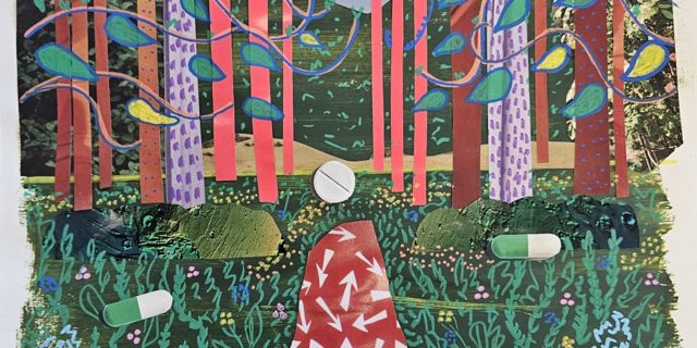 Rooted in Recovery exhibition brings together art, nature and lived experience