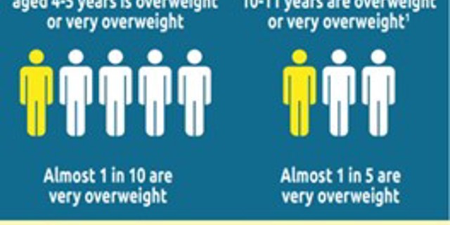 Health and Wellbeing Board endorses new Healthier Weight Strategy for Shropshire