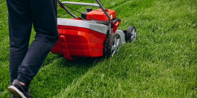 Shropshire Council addresses concerns about grass cutting